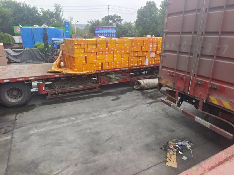 溫州至竹溪縣物流公司